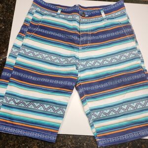 Men's Carbon Striped Shorts Size 30